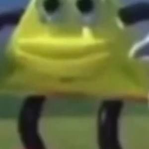 Meet your Posher, Lexi